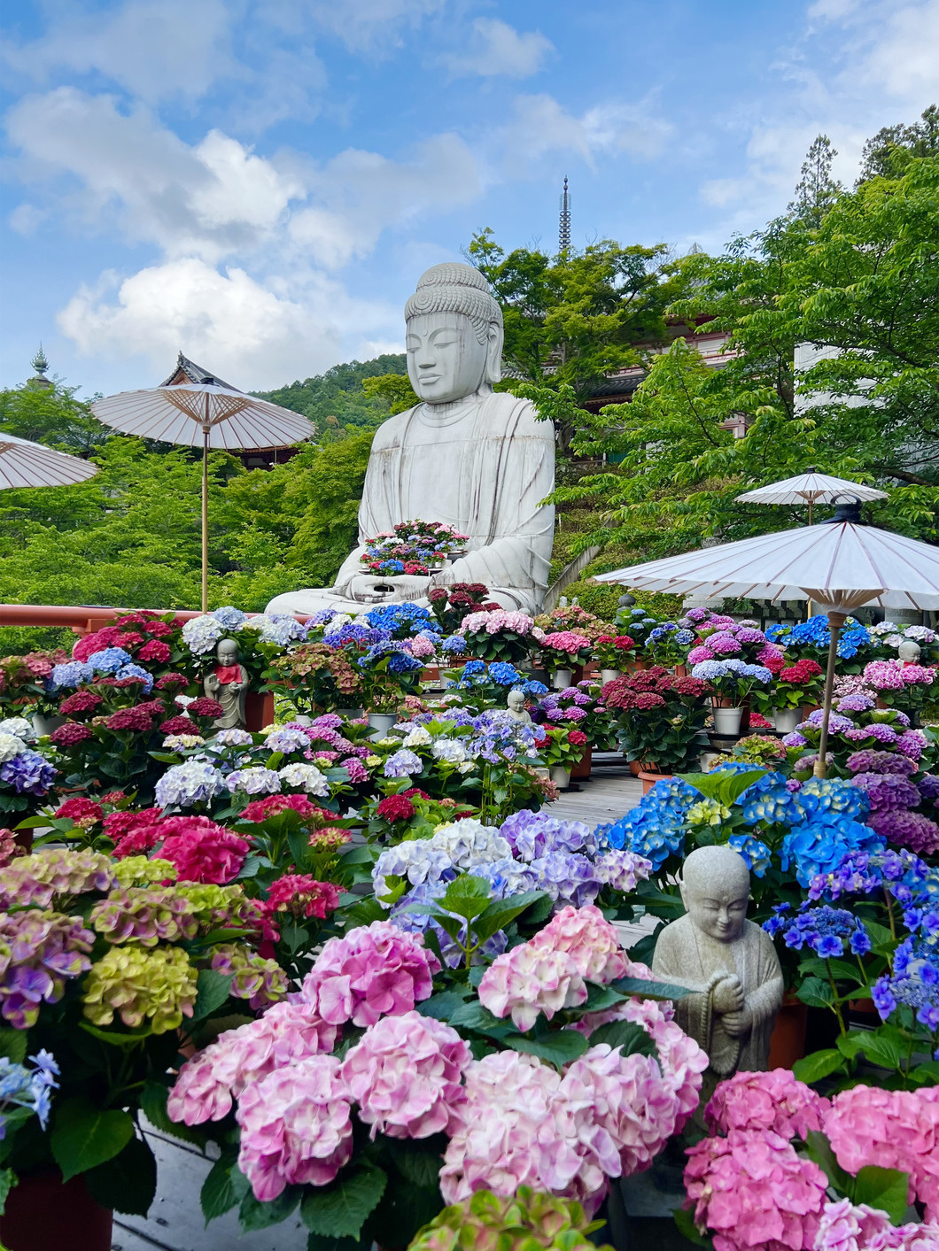 写真：2024年撮影