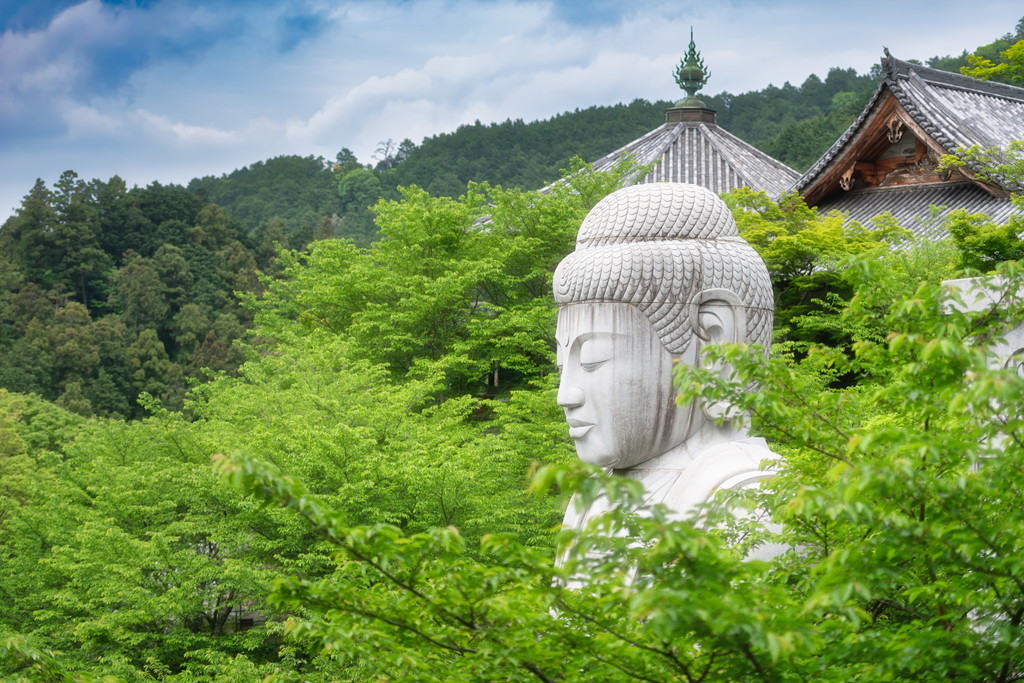 新緑大仏　Buddha in Green
