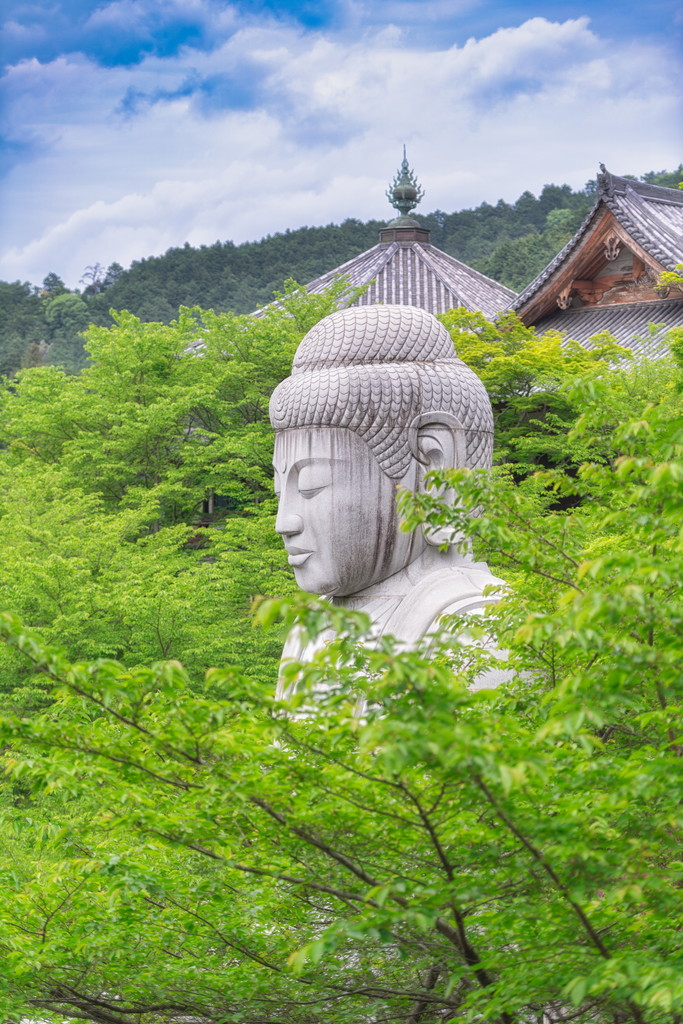 新緑大仏　Buddha in Green