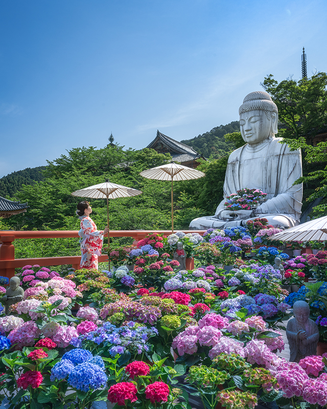 写真：2025年撮影