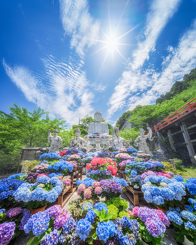 写真：2025年撮影