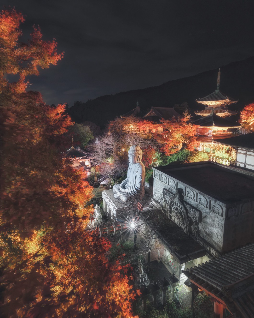 紅葉ライトアップ夜間拝観