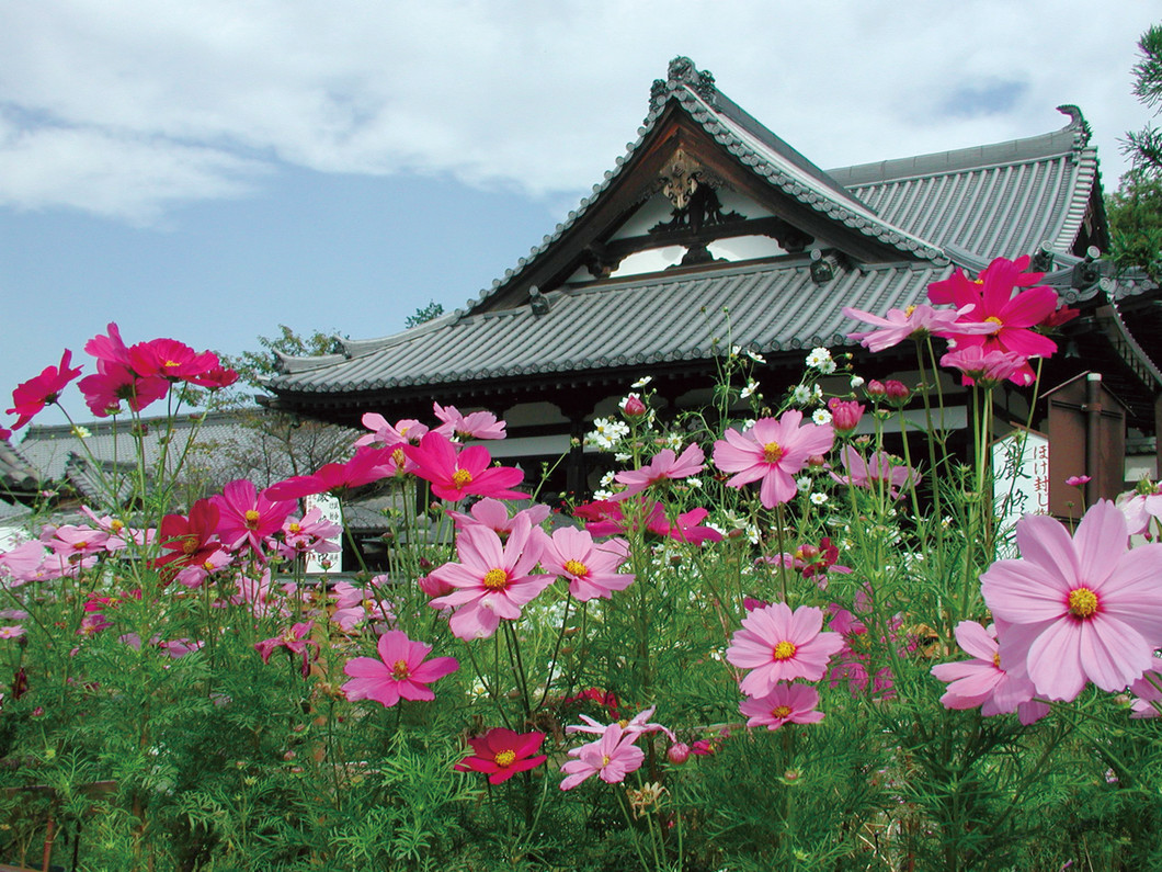 金閣浮御堂霊宝館 秋の寺宝展