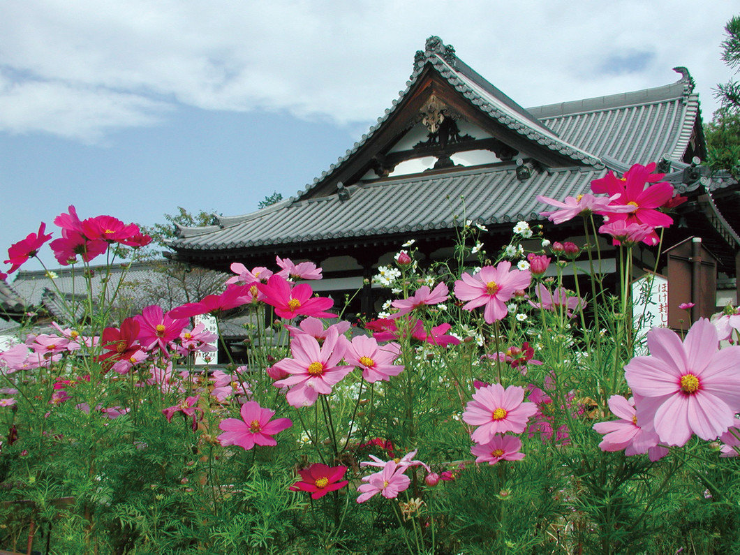 本堂　写真提供：安倍文殊院