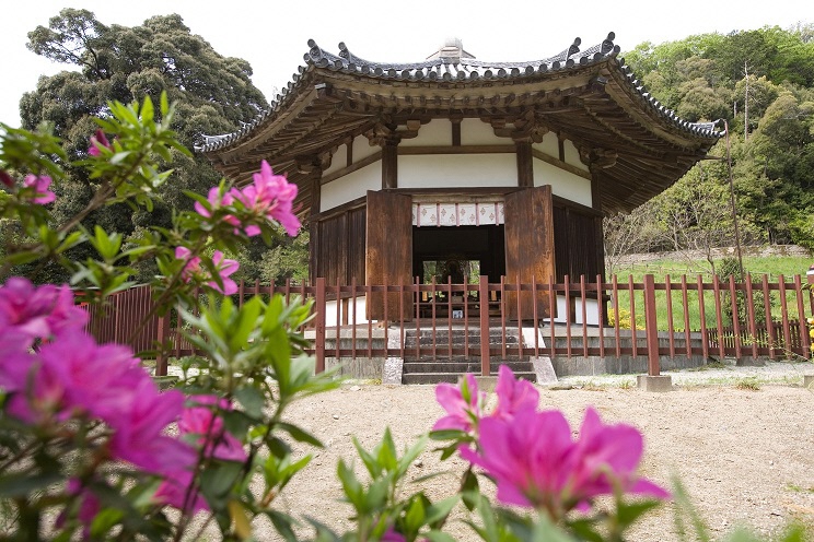 八角円堂 写真 栄山寺