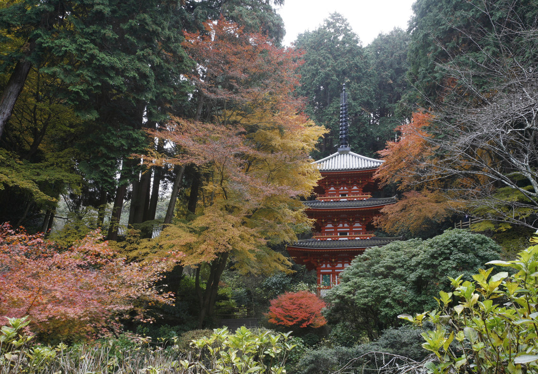 三重塔（重文）　写真：(株)飛鳥園