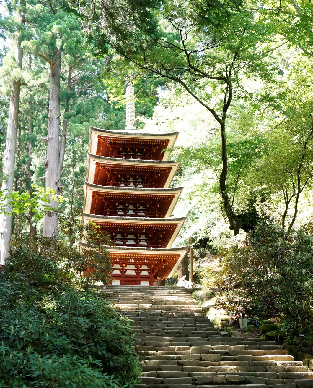 【うまし奈良めぐり】室生寺 龍神信仰の地に立つ古刹で僧侶と交流 少人数でゆっくり拝観