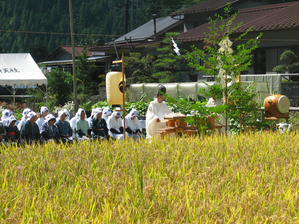 天河大辨財天社 抜穂祭(稲刈り神事)