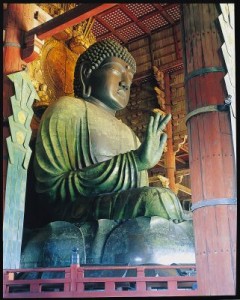 初詣(大仏殿)