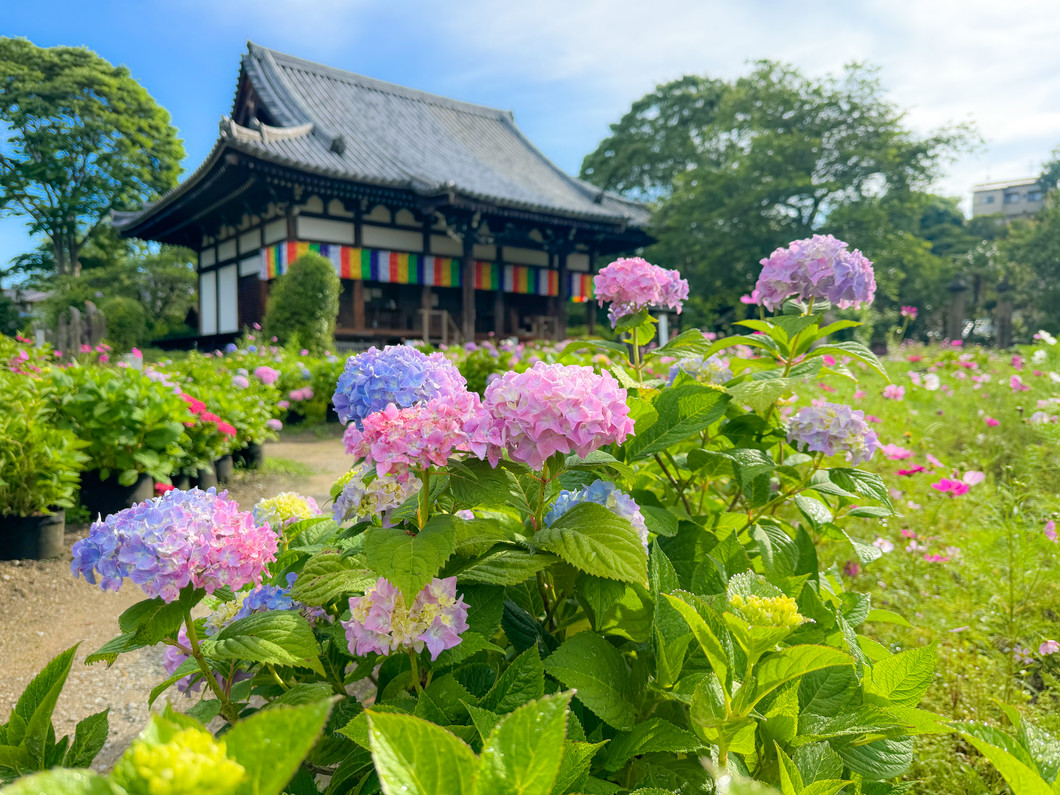 般若寺