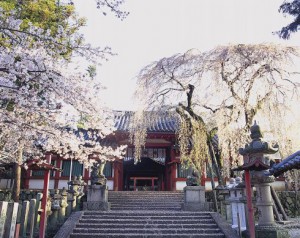 氷室神社(奈良市)