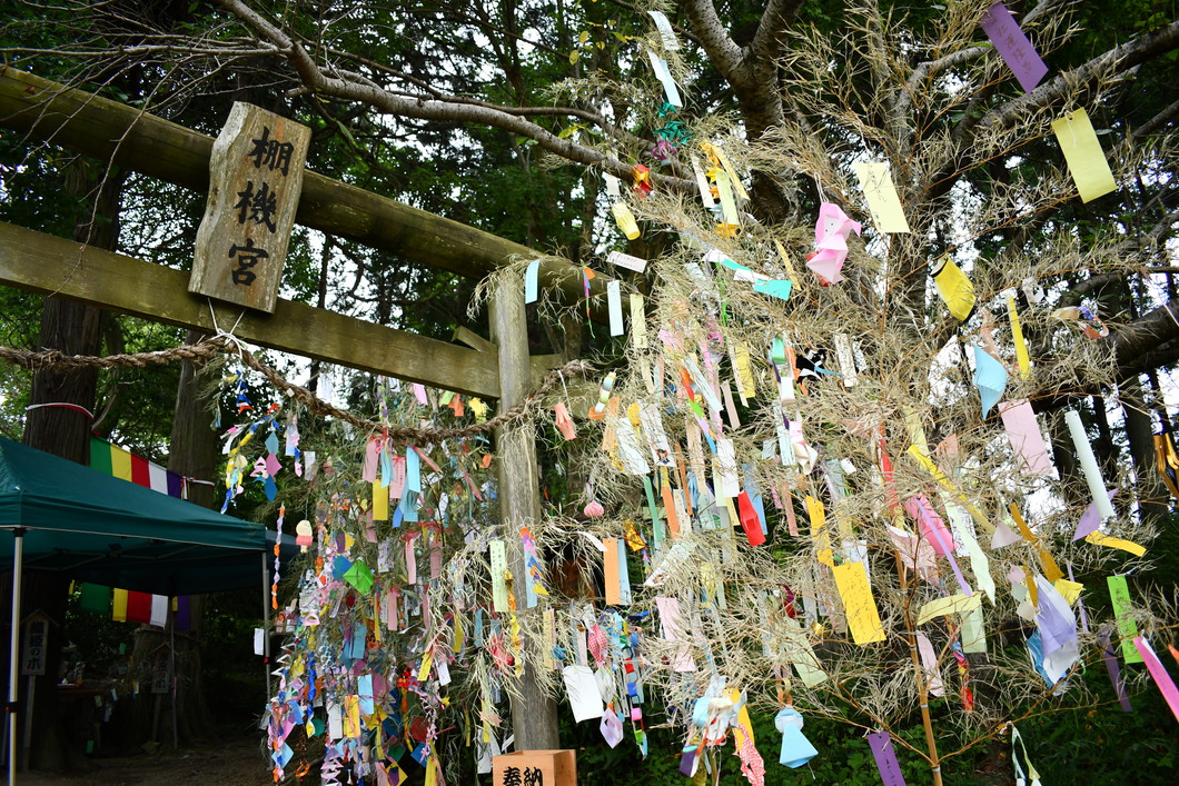 棚機祭り
