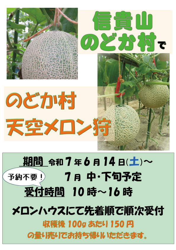 信貴山のどか村で天空メロンの味覚狩り