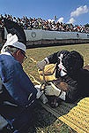 鹿の角きり