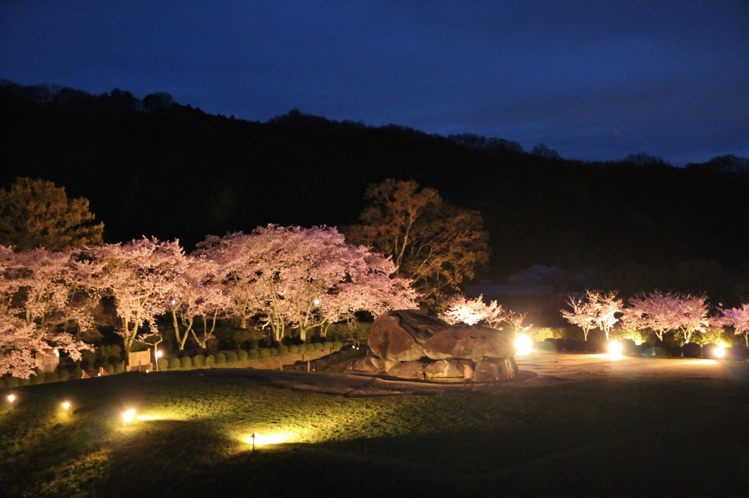 石舞台古墳 春のライトアップ2026