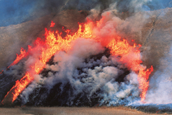曽爾高原山焼き