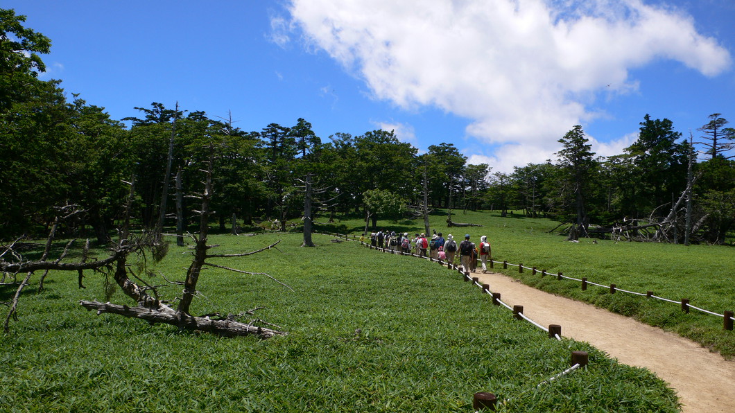 神秘の森 荘厳の山 大台ヶ原を歩く 2025