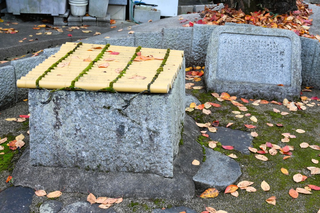 「桜井」の由来とされる桜の井