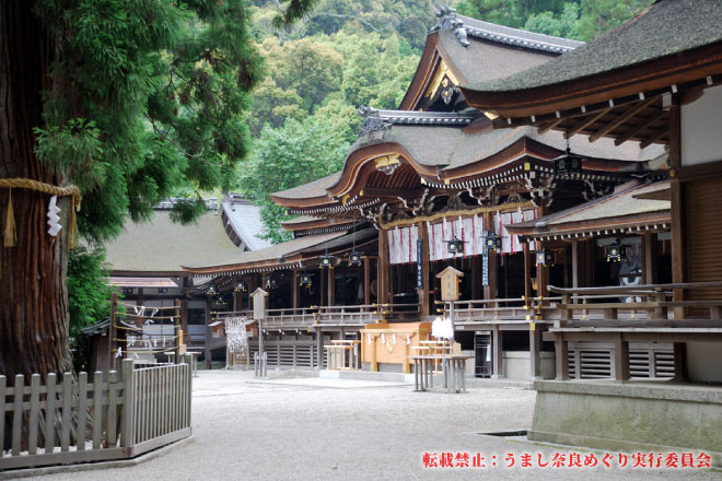 大神神社 三ツ鳥居特別参拝と神職の案内による宝物収蔵庫拝観