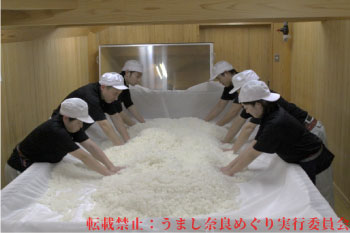 梅乃宿 蔵人になれる蔵体験