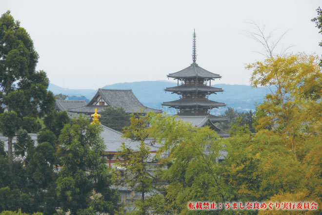 法隆寺 僧侶のご案内で大伽藍特別参拝
