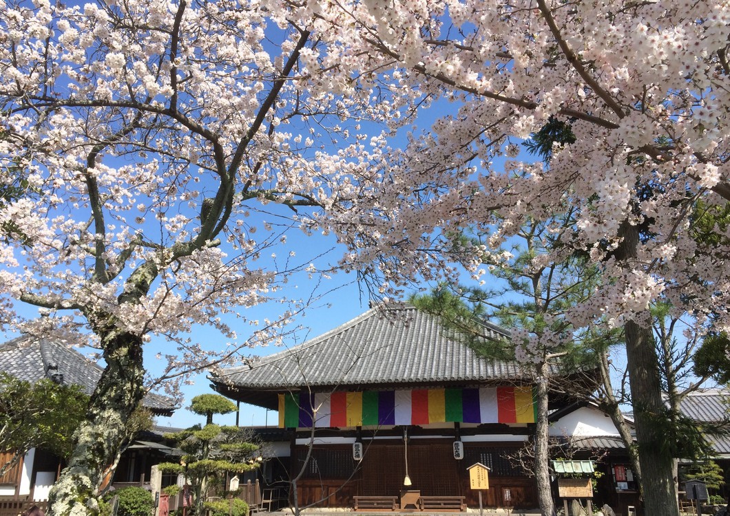 飛烏時代～鎌倉時代まで、激動の日本史の舞台を巡り、歴史・文化に触れる