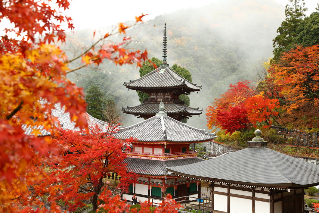壷阪寺（過去の開催状況）