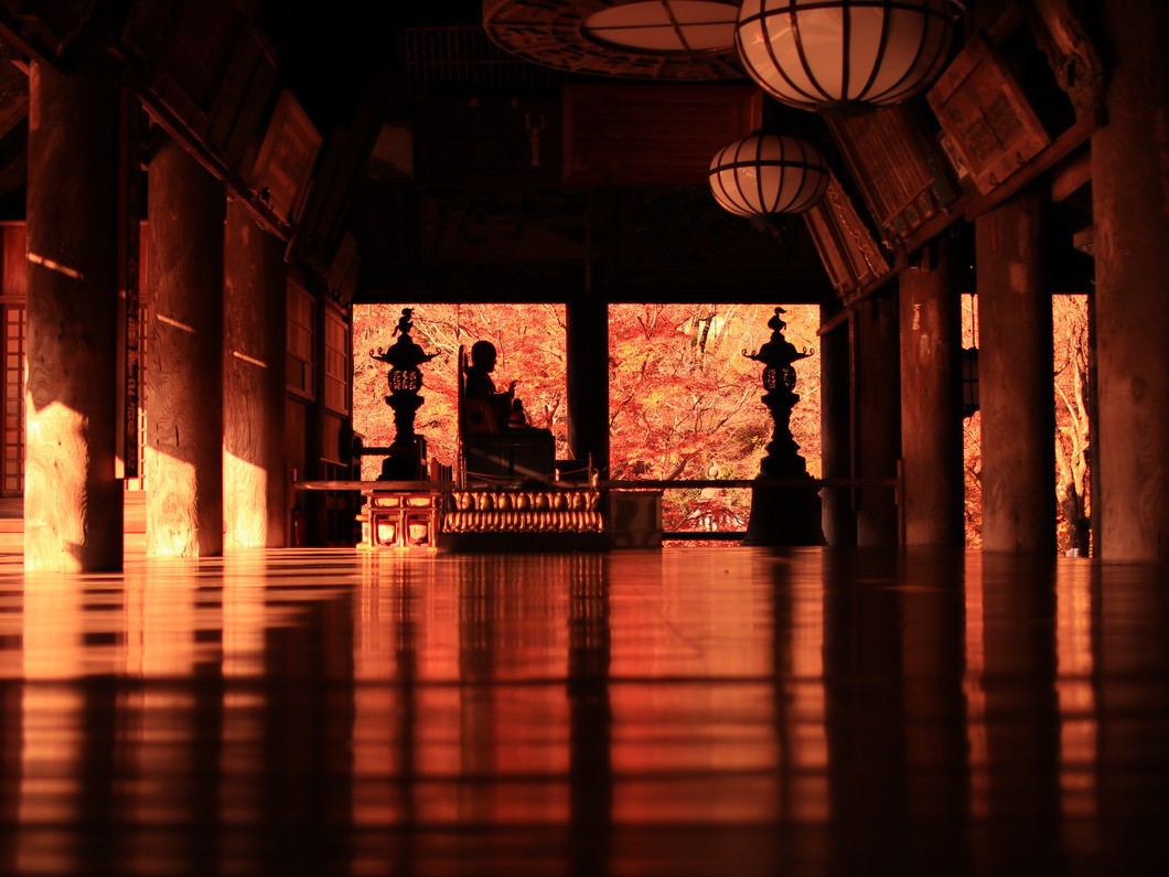 長谷寺（過去の開催状況）