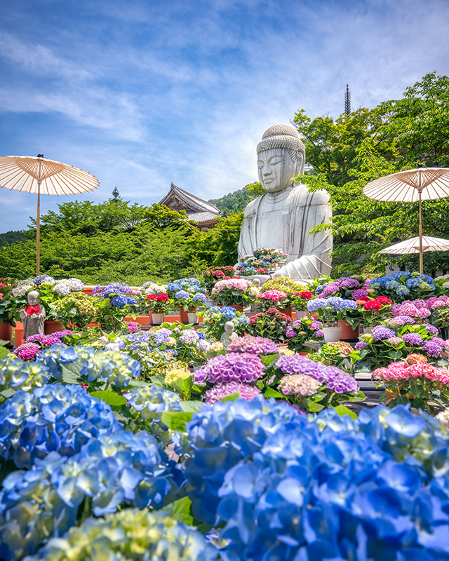 壷阪寺（2025年撮影）