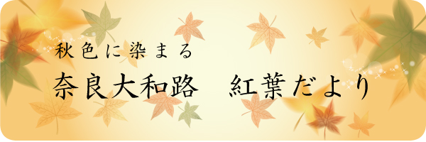 奈良大和路からの紅葉だより｜奈良県観光[公式サイト] あをによし なら