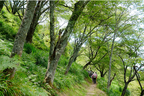 究極の癒し!? 神仙郷でハンモック