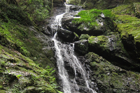 究極の癒し!? 神仙郷でハンモック