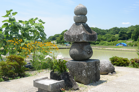 鎌足を追いつめる入鹿の首