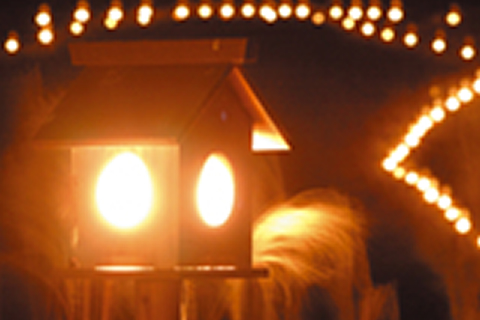 個性豊かな奈良の“秋祭り”