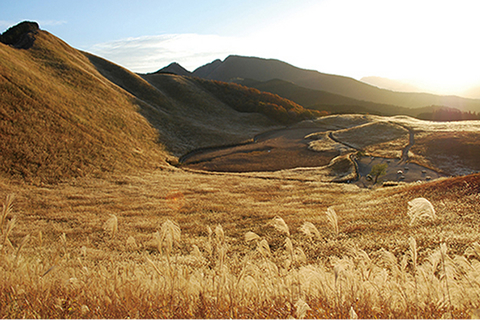 秋色に染まる、奈良大和路の紅葉だより