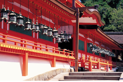 いよいよ正遷宮の春日大社へ