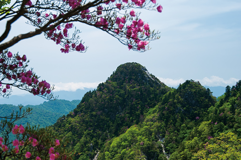 知れば知るほど奈良はおもしろい 2017年　春号（4月・5月・6月）
