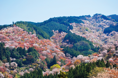 知れば知るほど奈良はおもしろい 2017年　春号（4月・5月・6月）