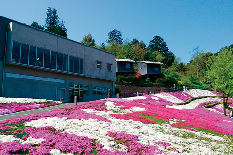 知れば知るほど奈良はおもしろい 2017年　春号（4月・5月・6月）