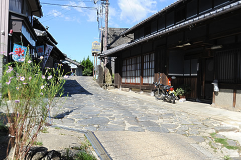 2019年 秋～冬「発見がいっぱい！」奈良のウォーキング特集。。