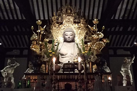 2019年 秋～冬「発見がいっぱい！」奈良のウォーキング特集。。