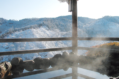 山や森は、古来より日本人にとって神宿る場所。