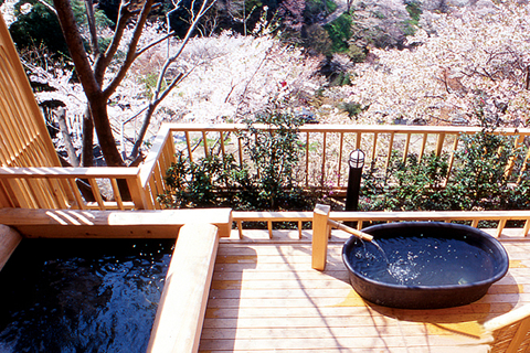 山や森は、古来より日本人にとって神宿る場所。