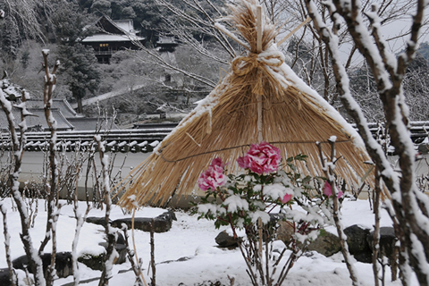 心洗われる風景と癒しの仏たちを訪ねて。
