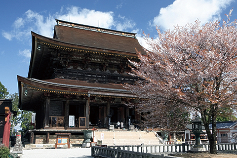 物語が心にしみる花景色。