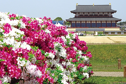 大和路をゆけば出逢える花景色。