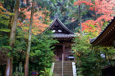 秋里に女人の心を癒してきた至宝を訪れて。