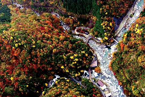 大いなるアートな世界へ。