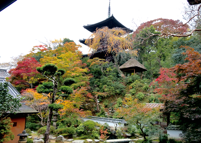 中将姫ゆかりの當麻寺と紅葉に彩られる名園。