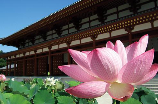 薬師寺(蓮)